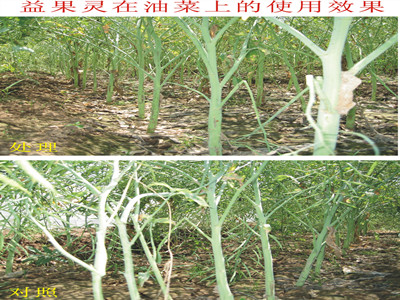 阿克苏益果灵牌噻苯隆介绍植物助剂的使用要求